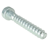 Galvanized Carbon Steel Customized Machine Torx Screw for Landscaping Equipment