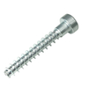 Galvanized Carbon Steel Customized Machine Torx Screw for Landscaping Equipment